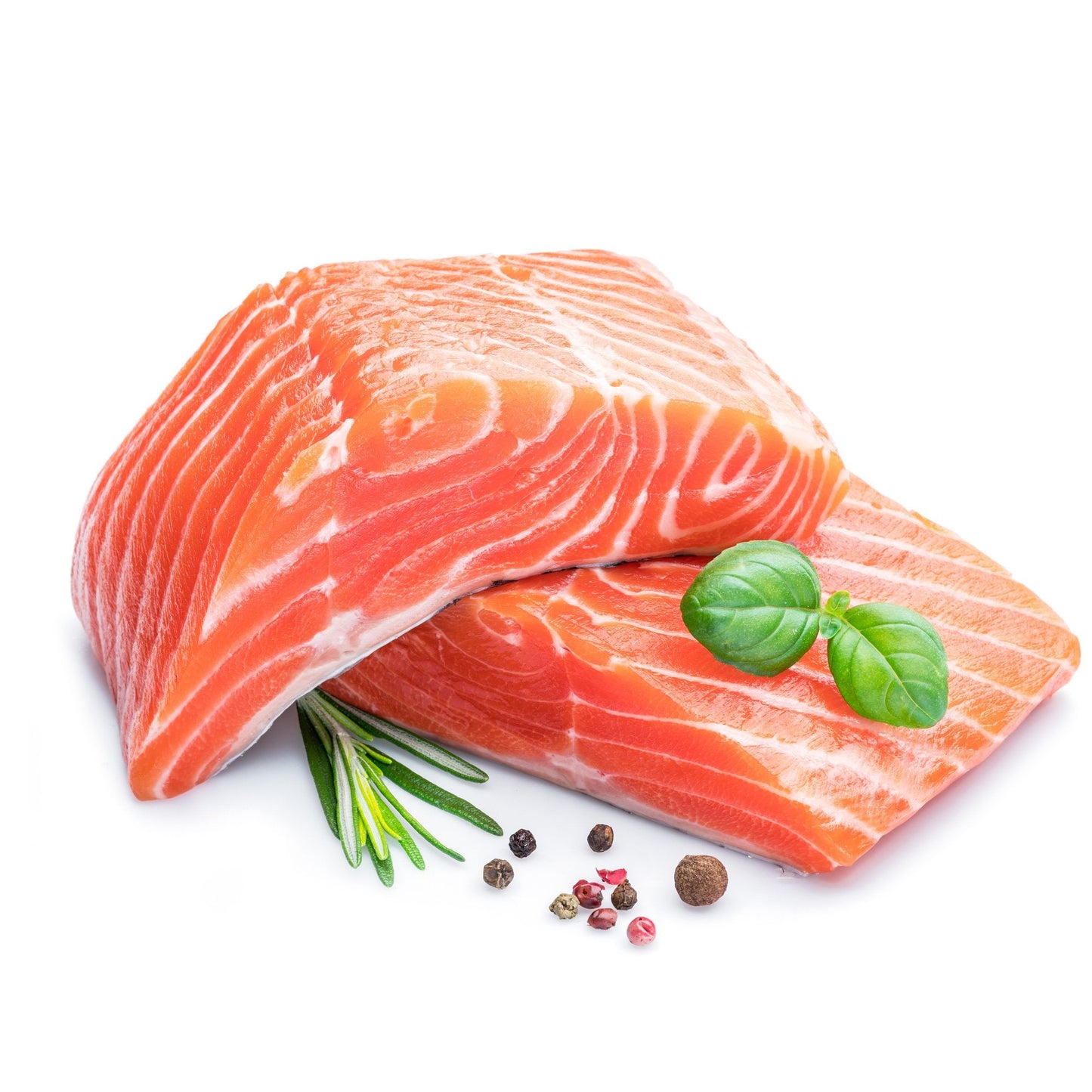 Atlantic Salmon