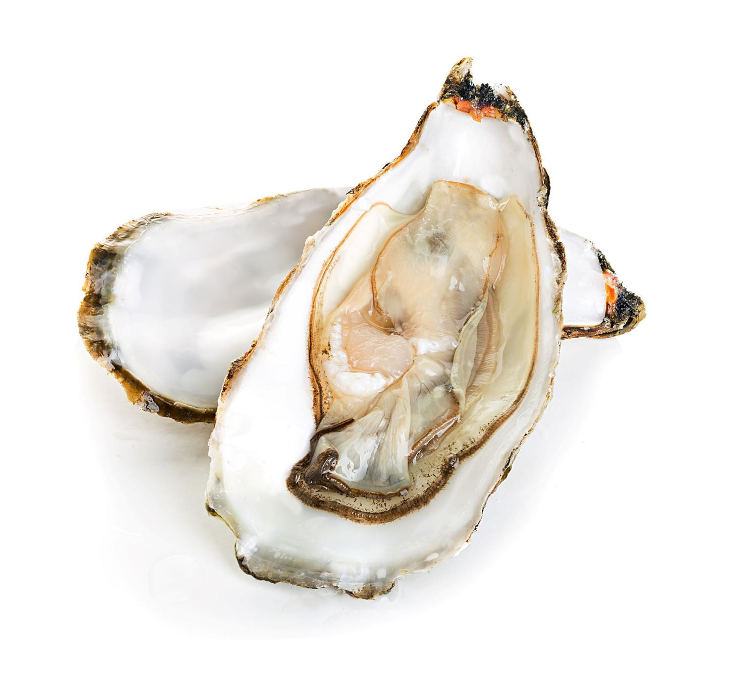 Jarred Oysters 10oz